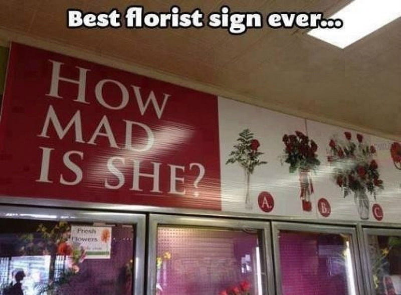 Funny Flower Shop Sign xD, shop, random, Funny, Meme, Flower, HD wallpaper  | Peakpx