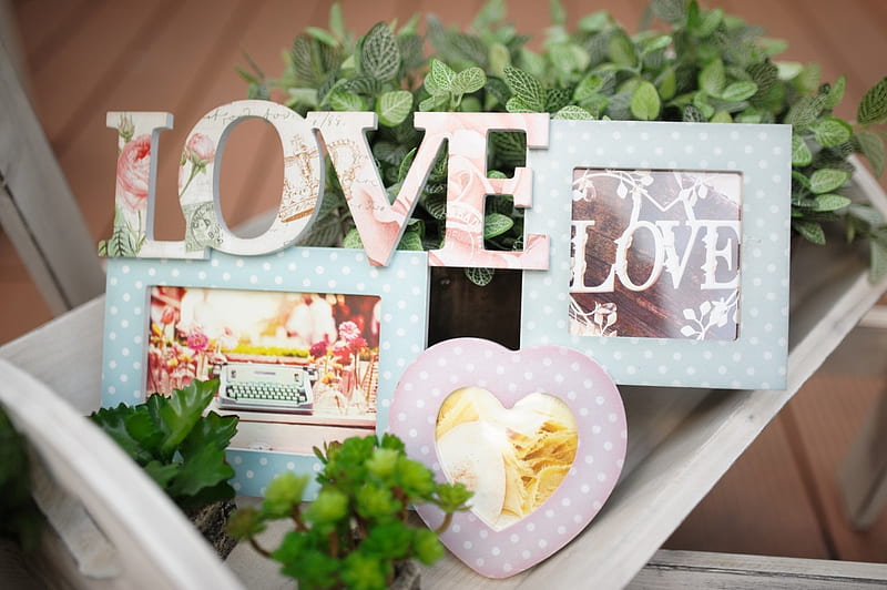 plants, love, decorations, corazones, wedding, frames, HD wallpaper