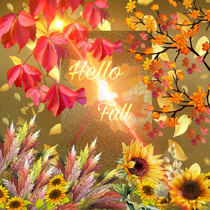 Fall Flowers, ashley, beauty, HD phone wallpaper