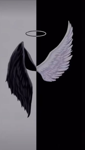 Hd Angel Wings Wallpapers Peakpx - Angel Wings Wallpaper For Walls