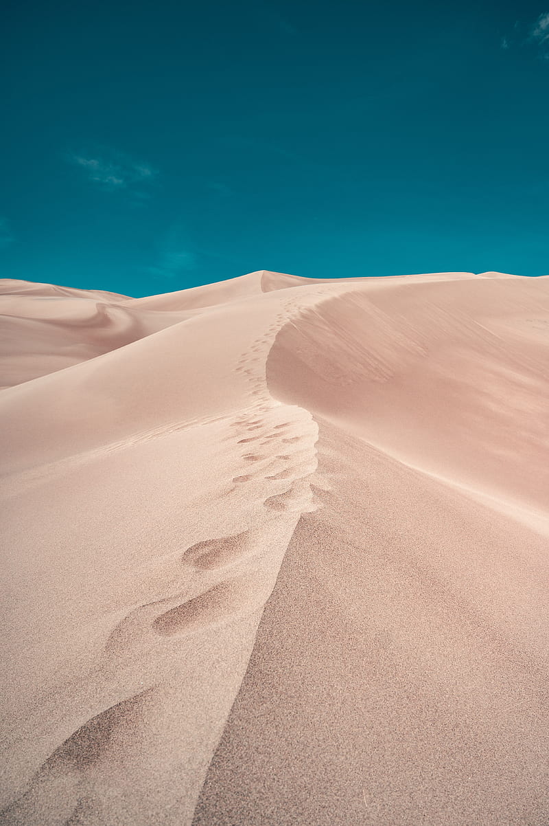 desert, sand, hill, footprints, HD phone wallpaper