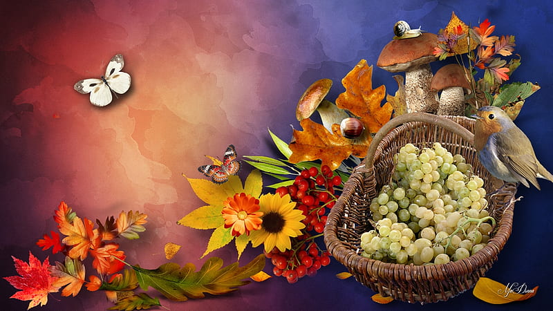 Grapes for Fall, fall, autumn, harvest, butterflies, grapes, leaves, Thanksgiving, bird, flowers, mushrooms, Firefox Persona theme, HD wallpaper