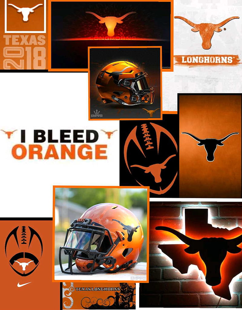 Longhorns, burnt orange, ut, texas, bleed orange, ou sucks, HD phone wallpaper