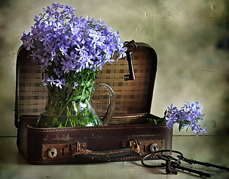 Suitcase of dreams, still life, keys, purple, green, flowers, pitcher, old, suitcase, HD wallpaper