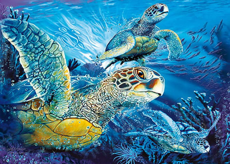 SEA TURTLES, 3d turtle, animals, sea, HD wallpaper
