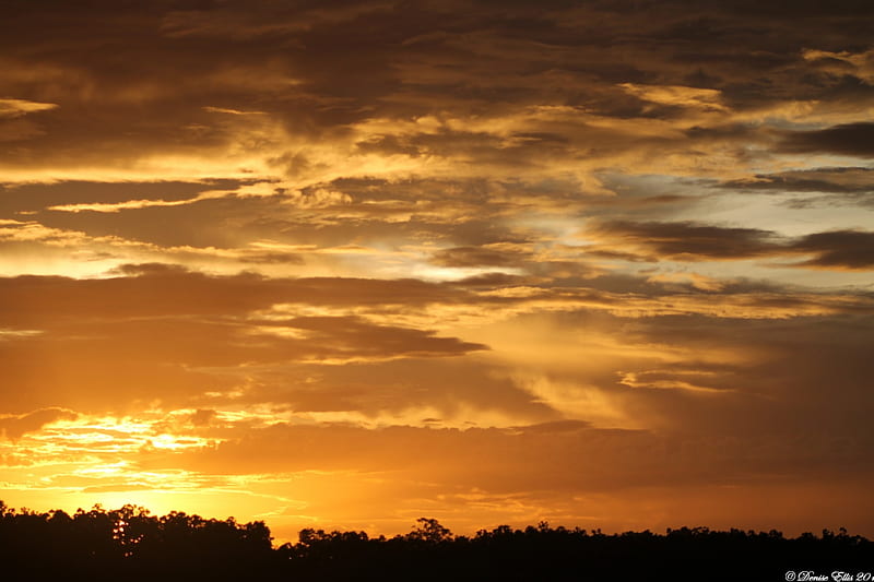 Sunset after rains, Glorious, pinks, white, golds, HD wallpaper | Peakpx