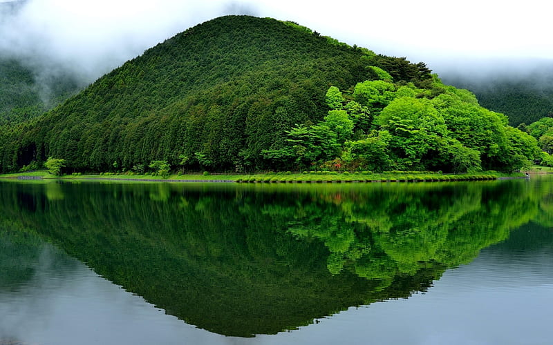 Green paradise, hill, trees, green, lake, HD wallpaper