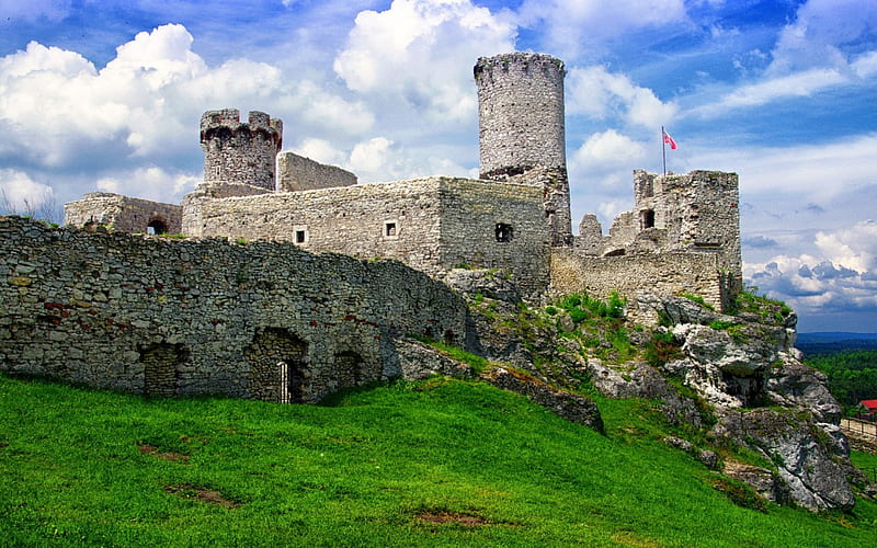 Ogrodzieniec Castle, Poland, Poland, Castle, Architecture, Medieval, HD wallpaper