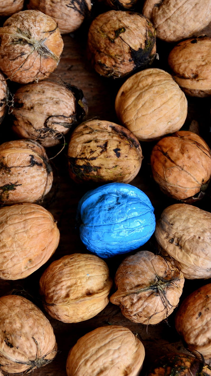 Walnuts. Peeled Walnuts Background Texture. Walnut Wallpaper Stock Photo -  Image of concept, healthy: 143814054