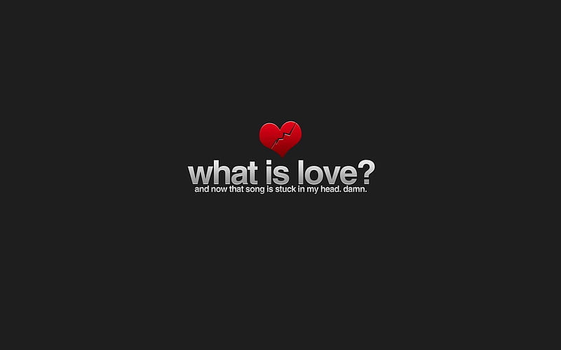 What Is Love, love, typography, minimalism, HD wallpaper