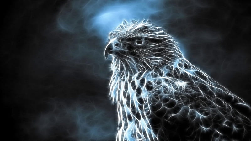 Hawk, gray, livingdoll, black, bird, fractal, gris, white, blue, HD wallpaper