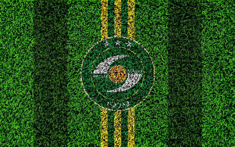 Song Lam Nghe An FC logo, football lawn, Vietnamese football club, green yellow lines, grass texture, emblem, V League 1, Vinh, Vietnam, football, HD wallpaper