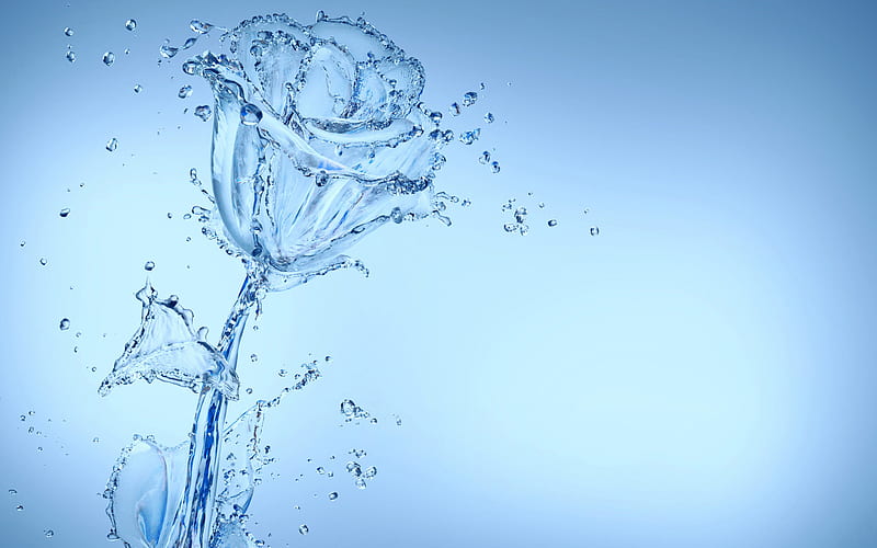 rose of water, water splashes, water rose, blue background, flower of water, creative, HD wallpaper
