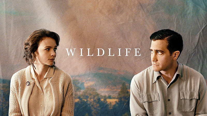 Movie, Wildlife, Carey Mulligan, Jake Gyllenhaal, HD wallpaper