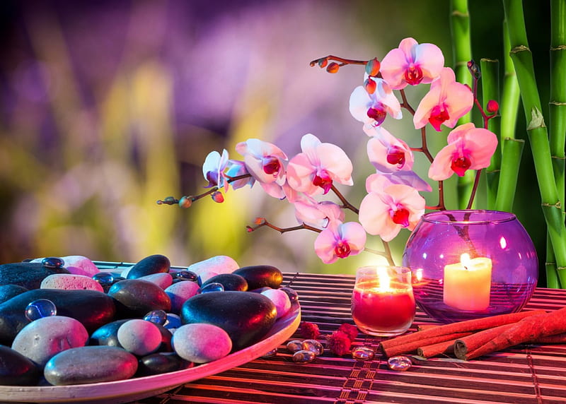 colorful set of spa, colorful, orchid, flower, set, spa, HD wallpaper