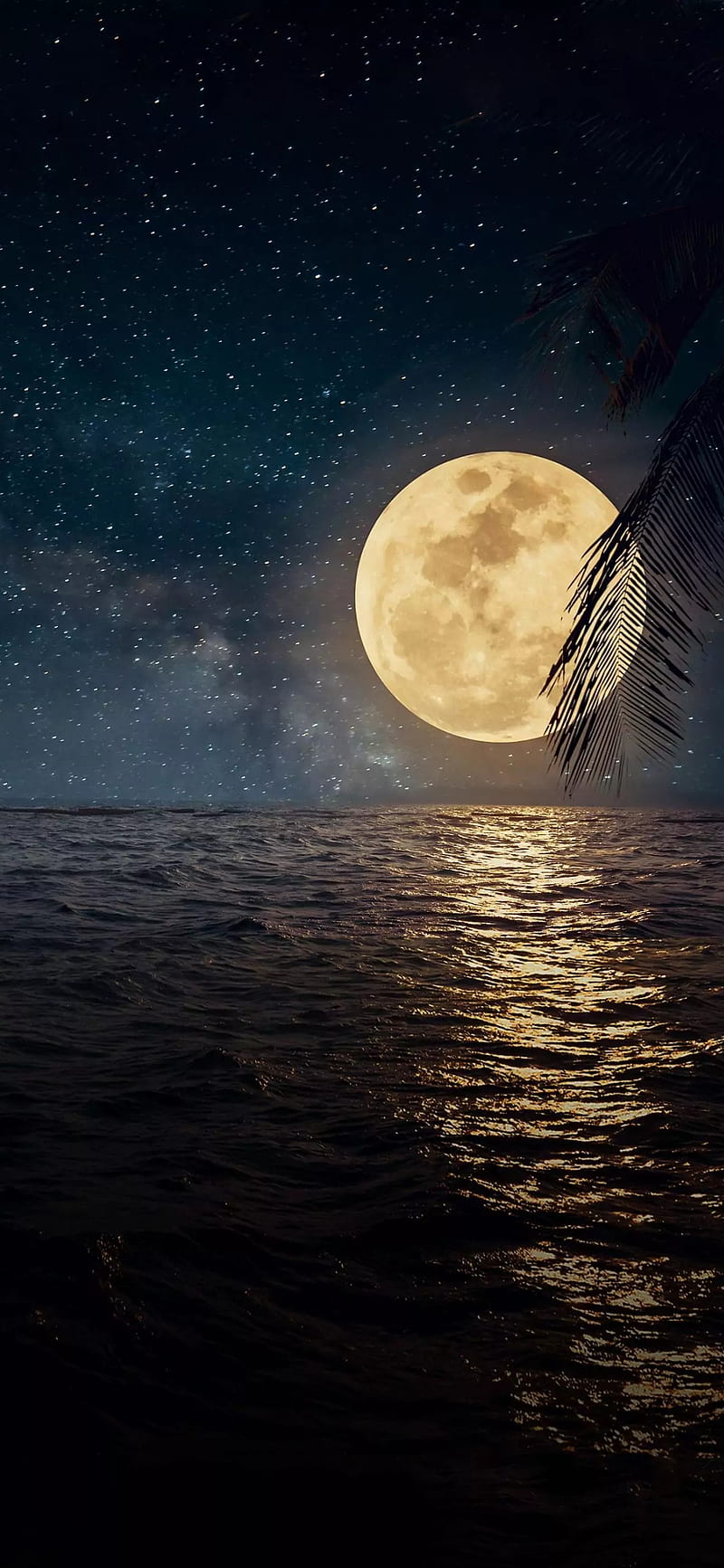 1920X1080 Moon Wallpapers  Top Free 1920X1080 Moon Backgrounds   WallpaperAccess