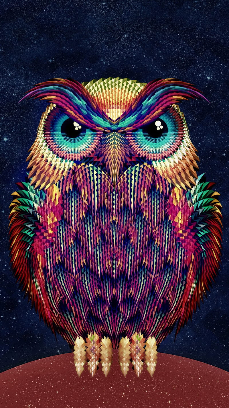 Owl, animals, nature, owls, HD phone wallpaper