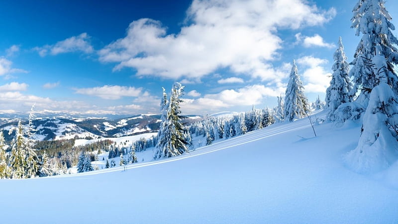 Ski time, forest, sky, ski, clouds, winter, pine, snow, mountains, slope, nature, fir, scene, landscape, HD wallpaper