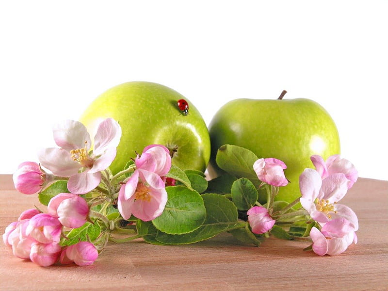Apple blossom time, fruit, green, apples, pink, apple blossoms, HD wallpaper