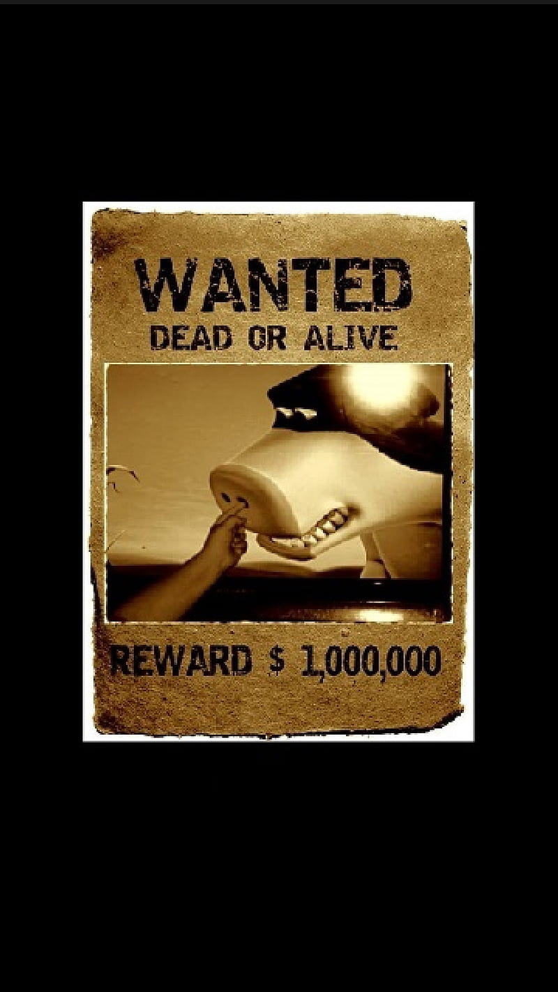 wanted poster, cow, nose, HD phone wallpaper