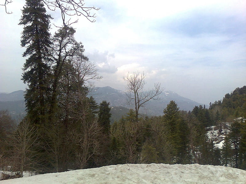 Murree Snow, hills, trees, snow, mountains, HD wallpaper