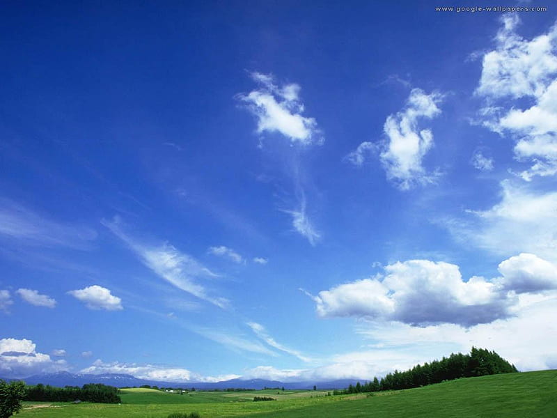 Blue Sky, nature, grass, field, HD wallpaper | Peakpx