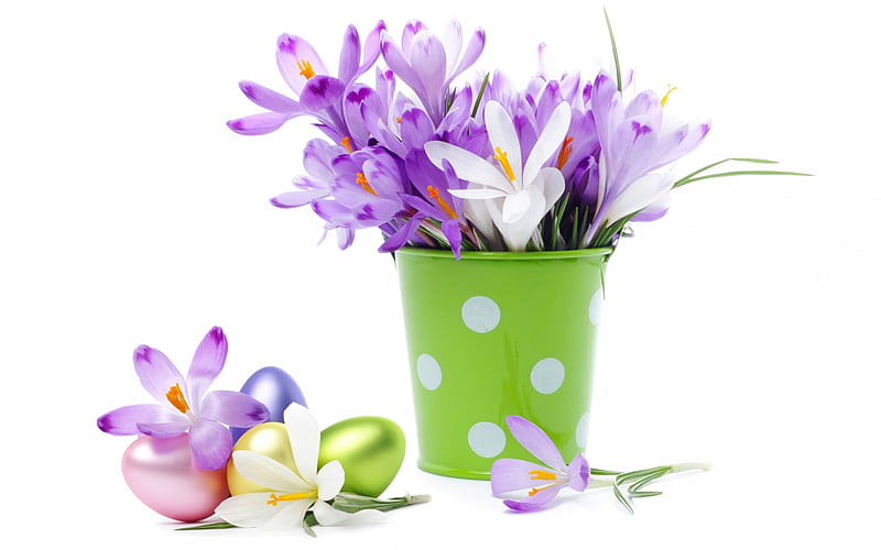 Happy Easter!, crocus, easter, spring, egg, dot, green, purple, flower