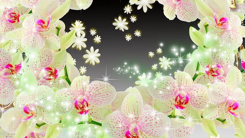Shining Orchids, flowers, glow, twinkle, lustre, shine, flash, winkle, foliage, lights, sparkle, glint, scintillate, green, shimmer, vegetation, flowers, pink, glisten, radiate, flare, exotic, glitter, spangle, glister, delicate, glimmer, orchid, luster, wink, gleam, shiny, HD wallpaper