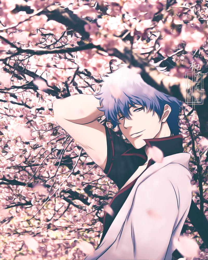 Gintoki, kimono, flowers, gintama the final, sakata gintoki, cherry blossom, samurai, anime, gintama, HD phone wallpaper