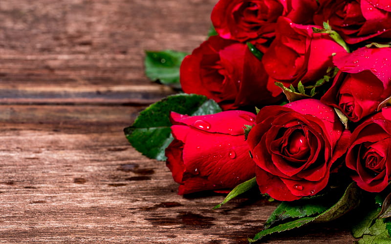 red roses, drops on petals, buds red roses, romance, beautiful bouquet, roses, HD wallpaper