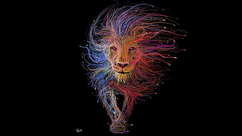 Lion Wires Art, lion, artist, digital-art, HD wallpaper