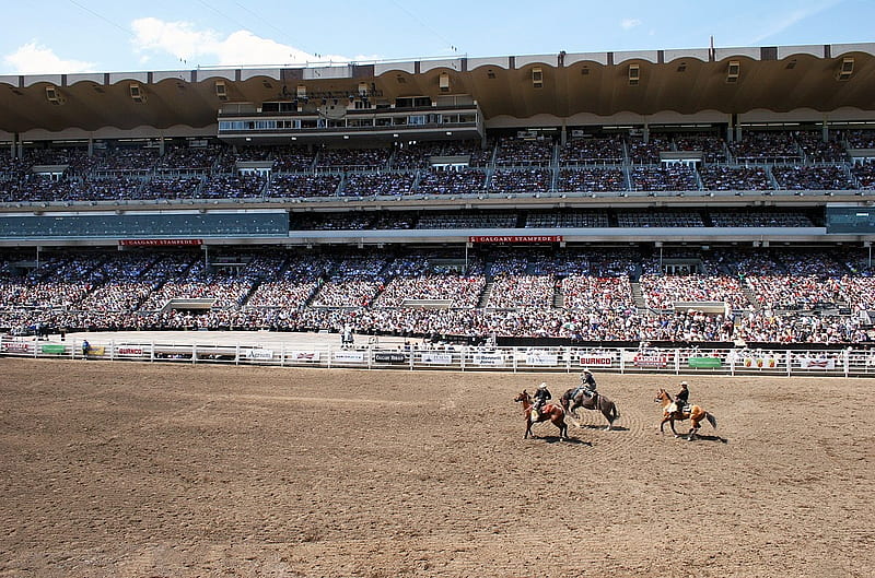 3 Cowboys at Calgary Rodeo, Handsome, Horses, Vest, Cowboys, Saddle, Winners, Dirt, Chaps, Canada, Stirrups, Strong, Calgary, Rugged, Spectators, Rodeo, Bronc Riders, HD wallpaper