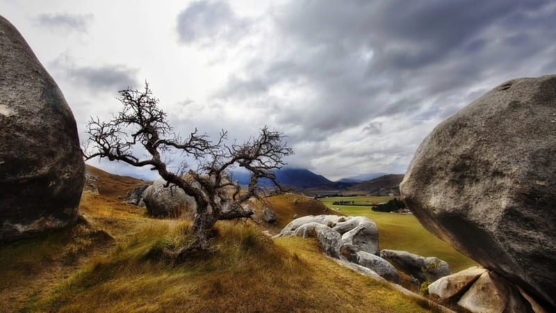 gnarly tree on a rocky hill, rocks, tree, gnarly, clouds, hill, HD wallpaper