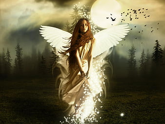 Angelic Apparition, forest, wings, cloudy, angel, pure, bonito