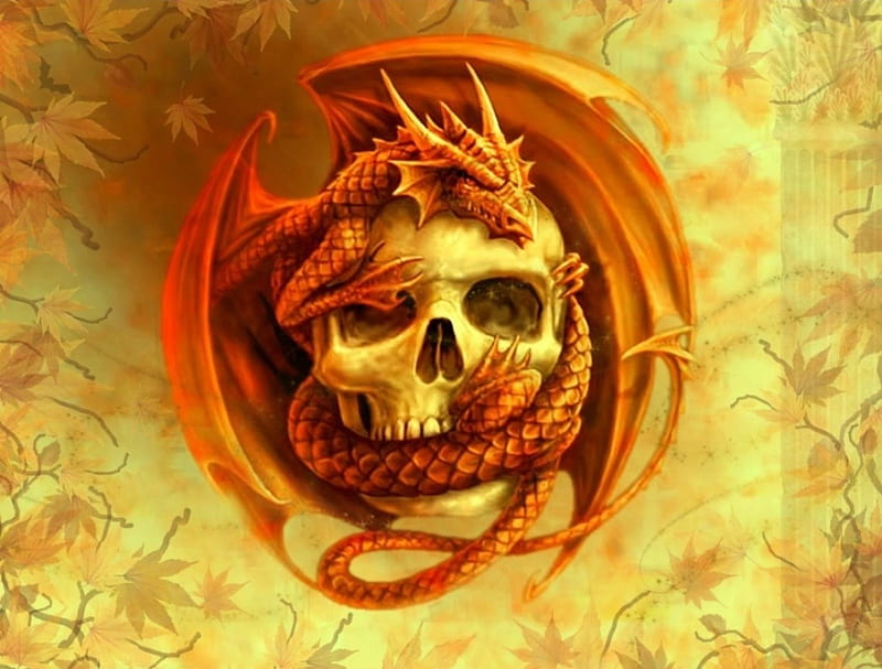 Dragon, fantasy, orange, dragons, HD wallpaper
