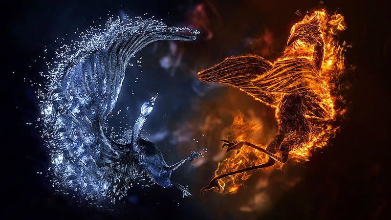 Fire And Ice Phoenix Bird Fire, HD wallpaper