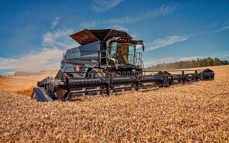 Massey Ferguson Ideal 9T, wheat harvesting, 2019 combines, combine, black combine, combine-harvester, agricultural machinery, Massey Ferguson, HD wallpaper