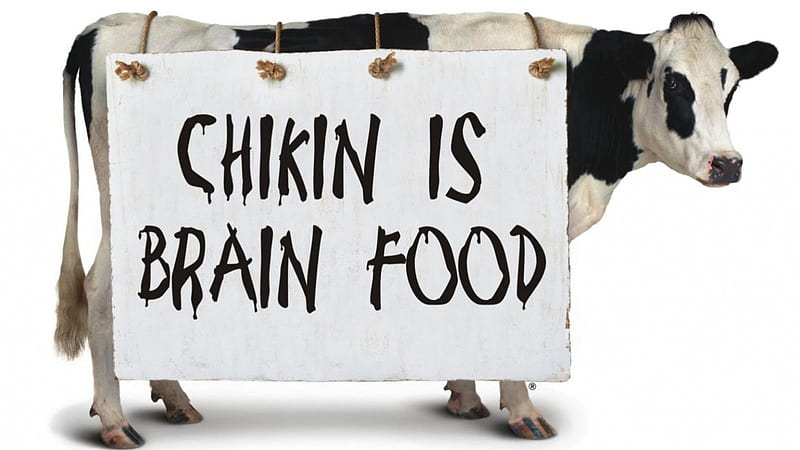 Chikin is brain food cool funny chick fil a 1600x900 HD wallpaper   Peakpx