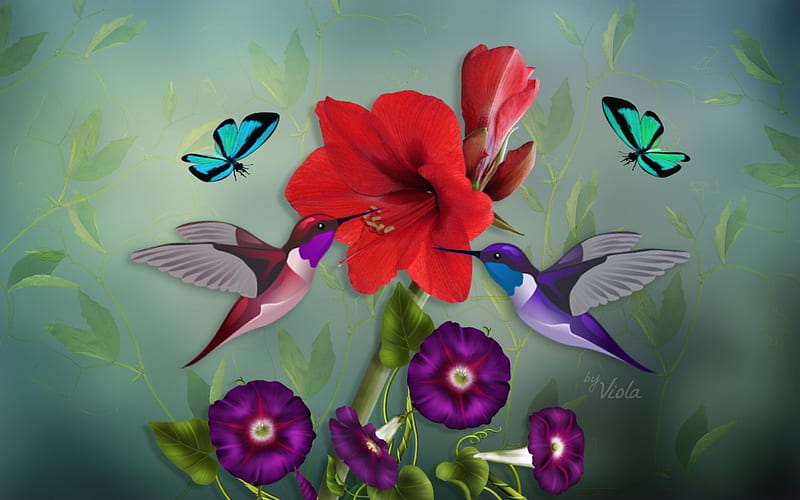 Hummingbirds, Viola Tricolor, art, birds, desenho, butterflies, green, amaryllis, flower, tropical, HD wallpaper
