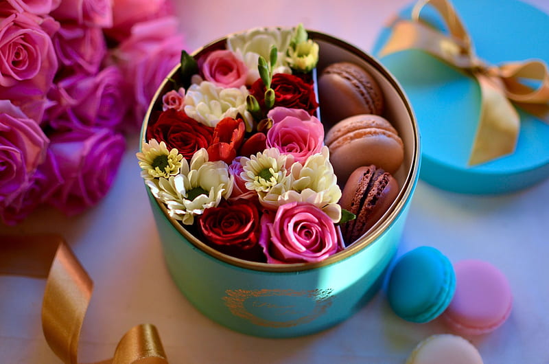 :-), food, rose, sweets, box, valentine, macaron, dessert, card, flower, pink, blue, HD wallpaper