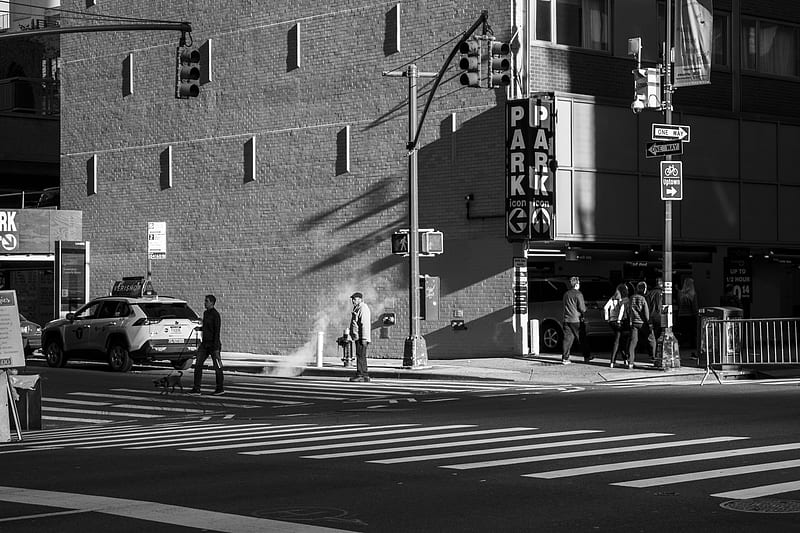 grayscale of people crossing on pedestrian lane, HD wallpaper