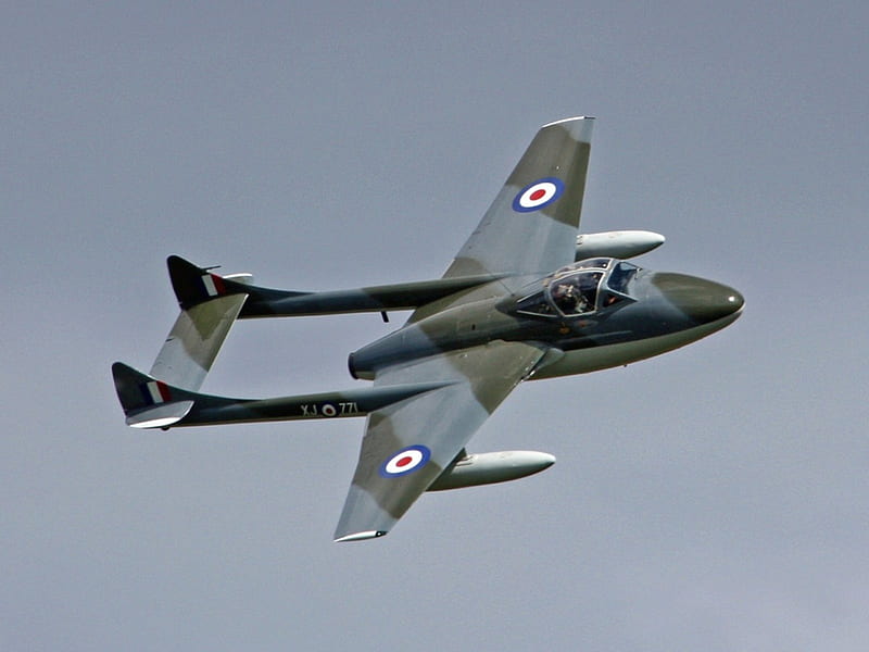 De Havilland Vampire, RAF, Royal Air Force, British Aircraft, HD wallpaper