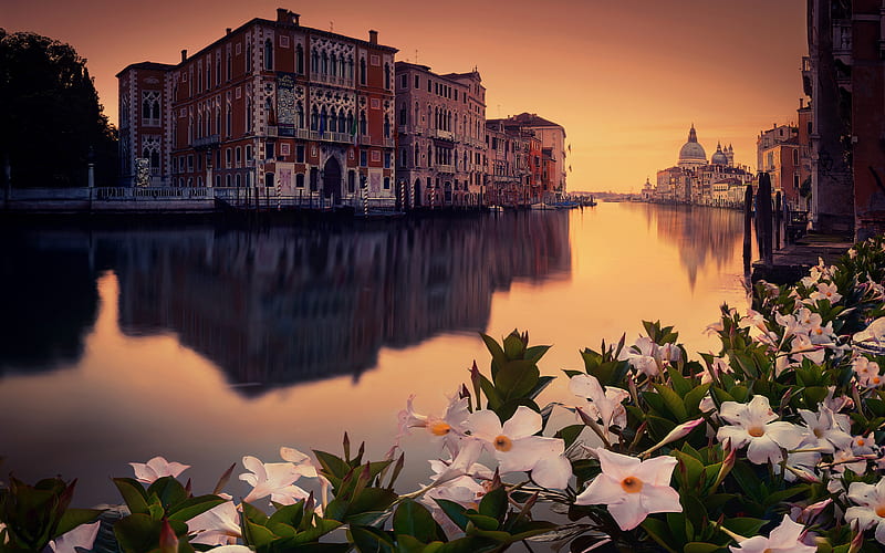 Grand Canal italian cities, Venice, summer, Italy, Europe, venetian canals, italian landmarks, Venice at morning, HD wallpaper