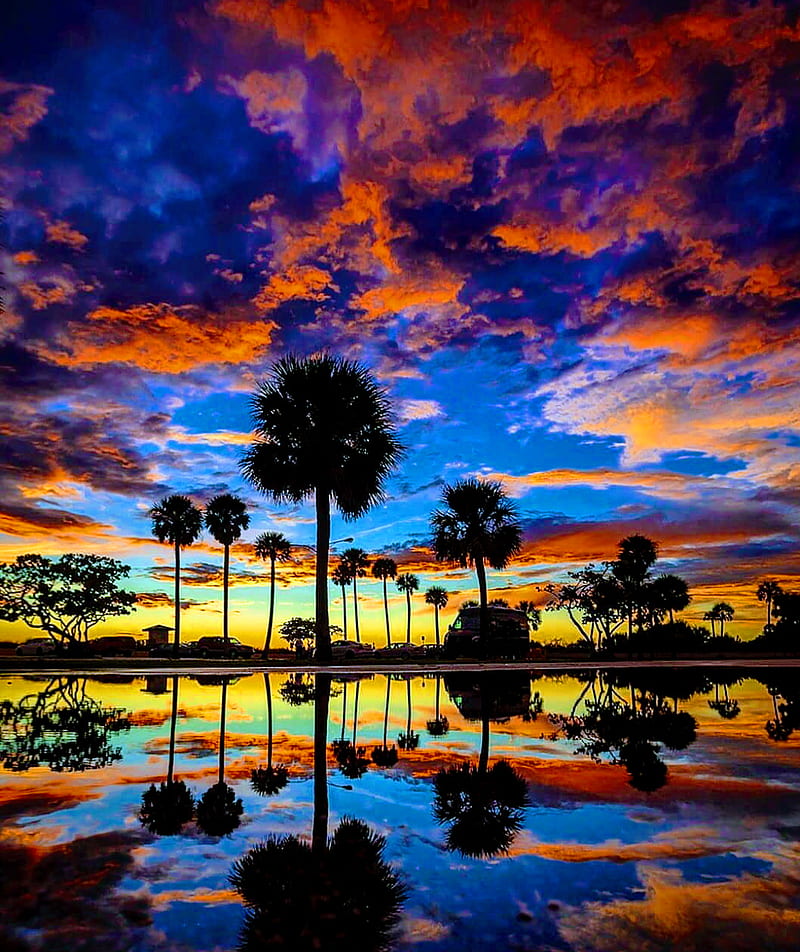 Florida sunset, florida, sunset, HD phone wallpaper