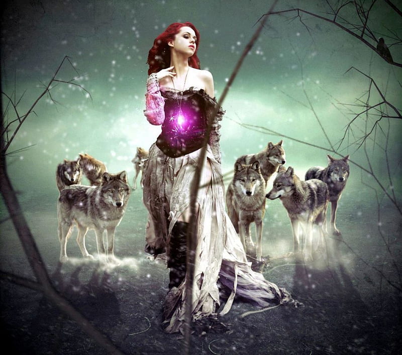 Winter Fantasy, predator, girl, snow, wolf, wolves, artwork, HD ...