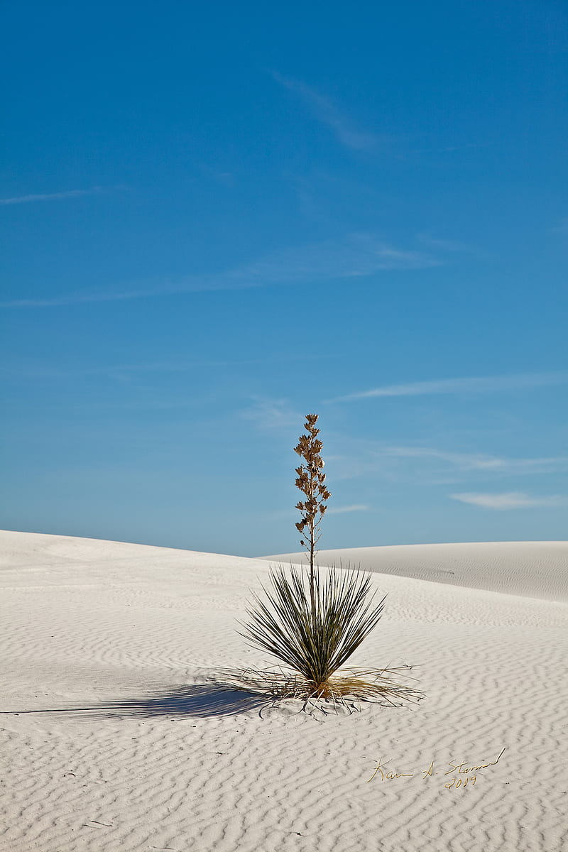 BSI White Sands 02, beautifullyscene, blue, desert, landscape, national park, new mexico, sand, scenery, sky, HD phone wallpaper
