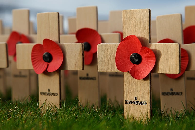 Remembrance Sunday 13 November 2016, In Flanders Fields, Poppy Day, Remembrance Day, WW1 and following, HD wallpaper