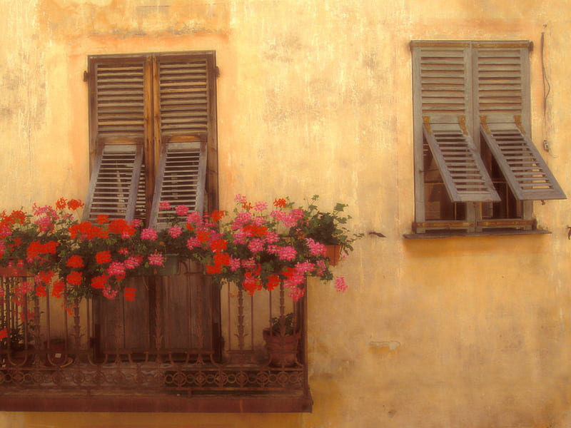A Golden Afternoon in Provence France, red, house, balcony, golden, travel, home, doors, windows, afternoon, shutters, france, provence, stucco, flowers, international, HD wallpaper