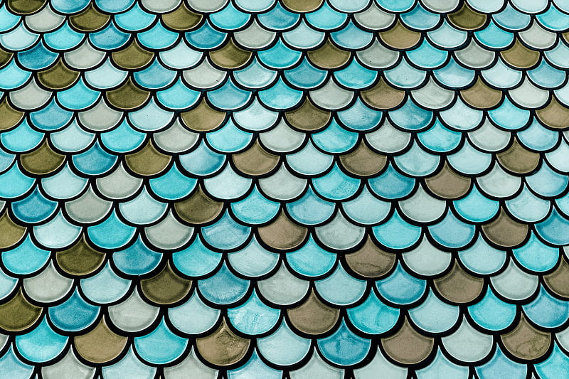 scales, fragments, stained glass, pattren, HD wallpaper