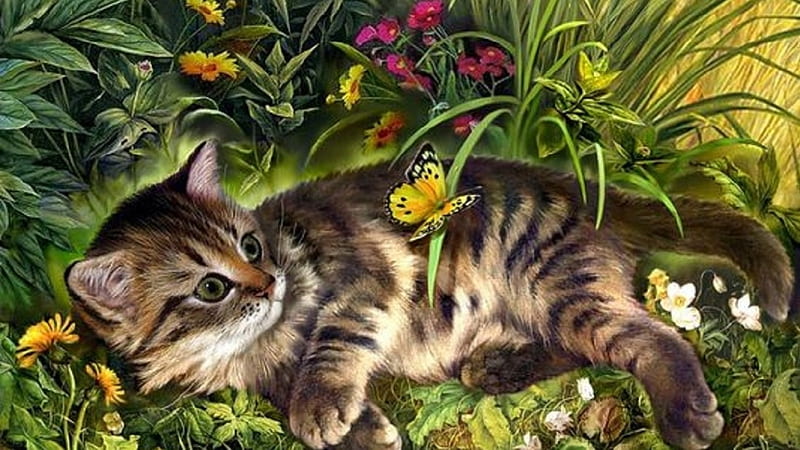Katze, Wiese, Schmetterling, Deutschland, HD wallpaper